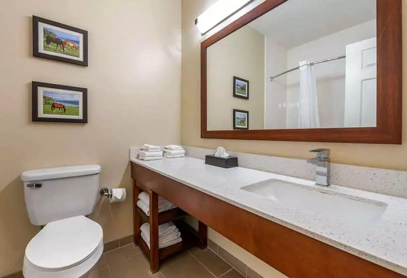 Отель Comfort Suites Keeneland
