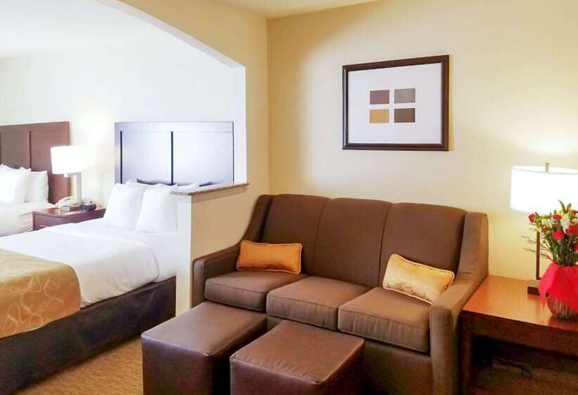 Hotel Quality Suites Irving Las Colinas