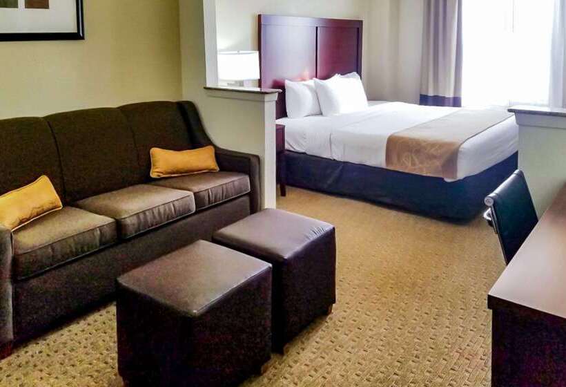 Hotel Quality Suites Irving Las Colinas