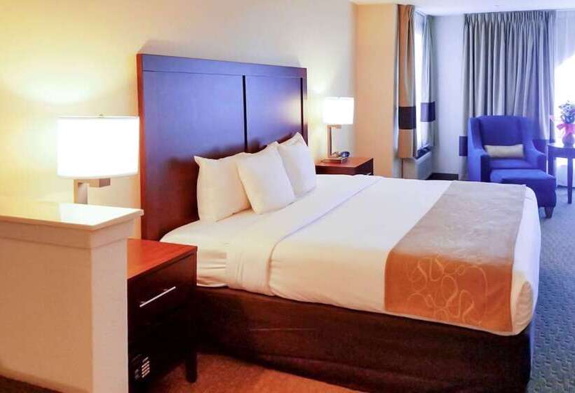 Hotel Quality Suites Irving Las Colinas