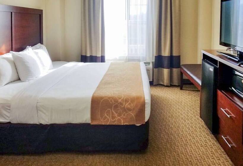 Hotel Quality Suites Irving Las Colinas