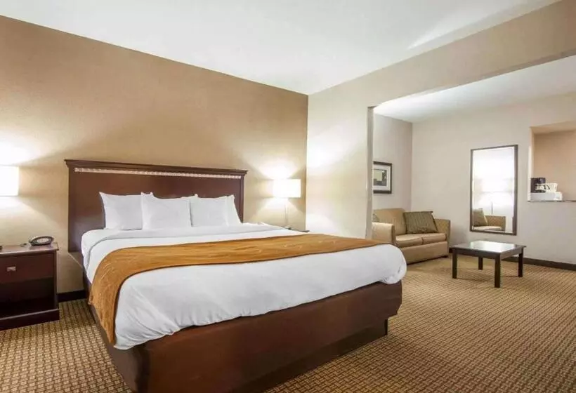 Hotel Comfort Suites