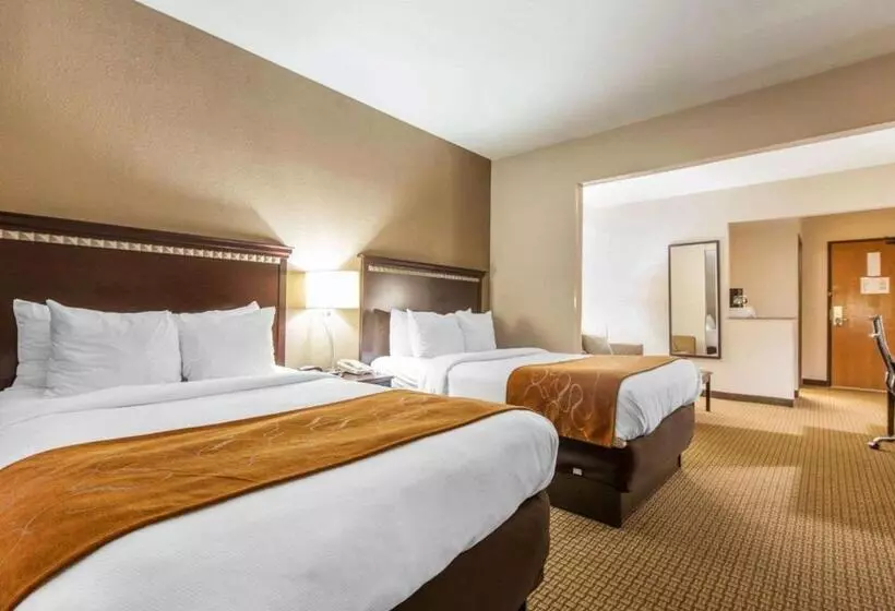 Hotel Comfort Suites
