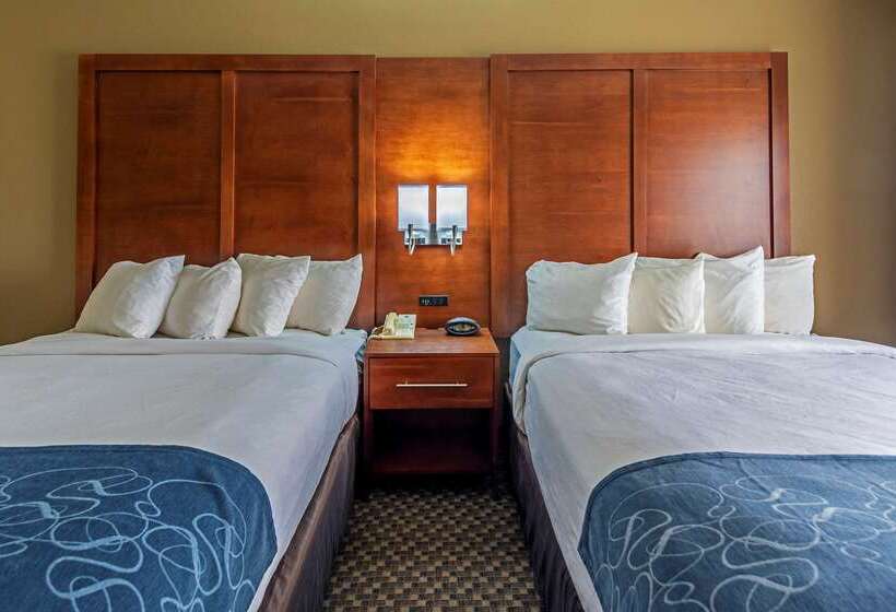 فندق Comfort Suites University