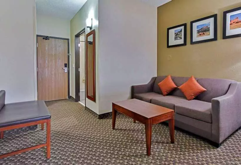 ホテル Comfort Suites University