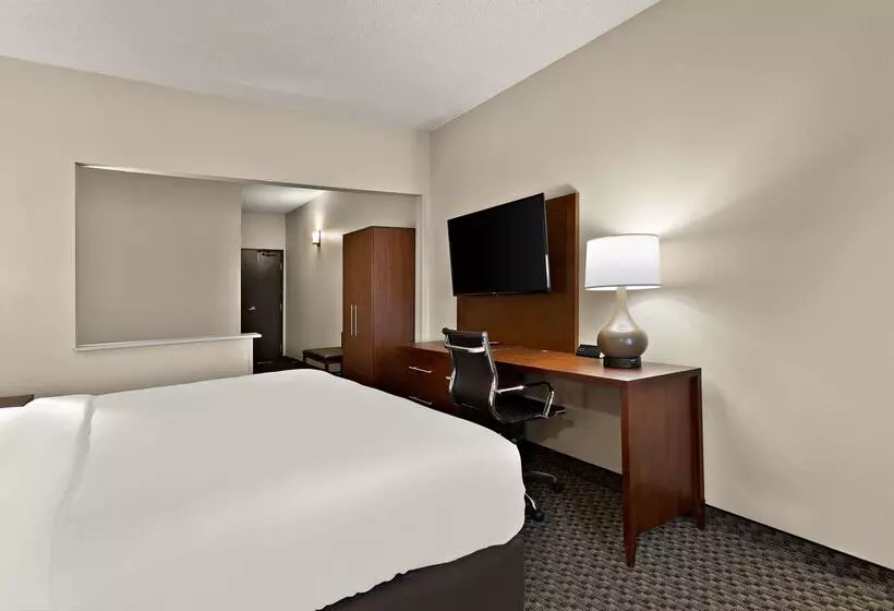 ホテル Comfort Suites University