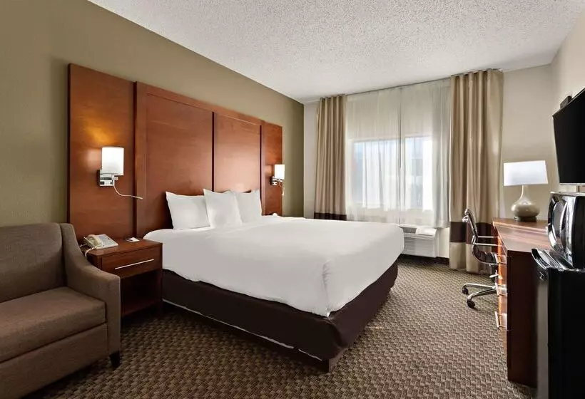 ホテル Comfort Suites University