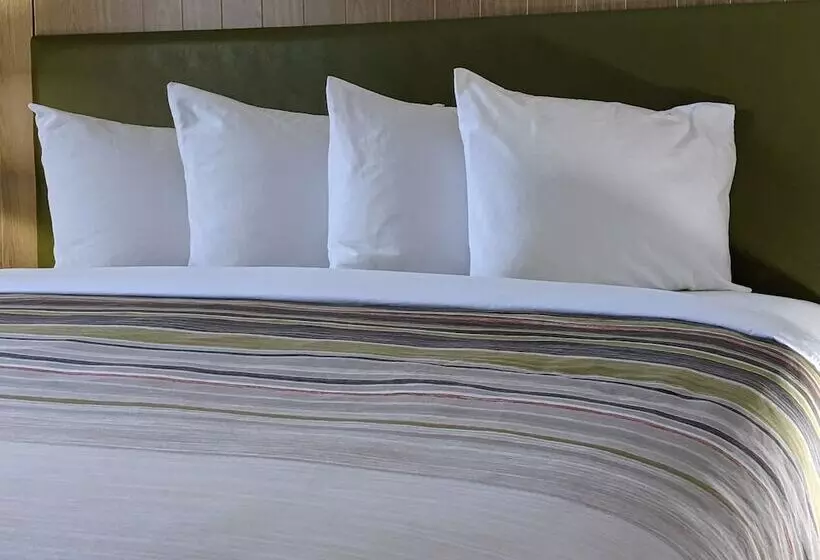 Hotelli Country Inn & Suites By Radisson, Nashville, Tn