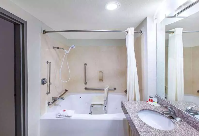 Hotel Days Inn & Suites By Wyndham Webster Nasaclearlakehouston