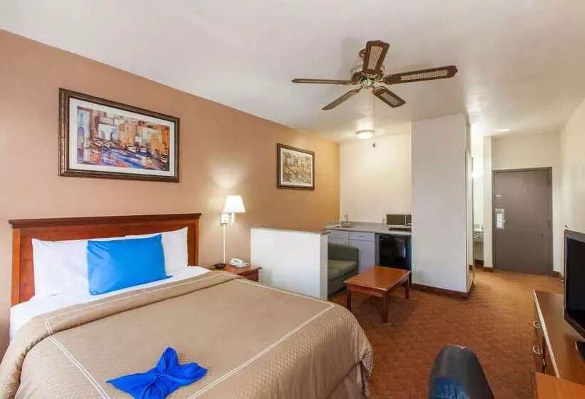 Hotel Days Inn & Suites By Wyndham Webster Nasaclearlakehouston