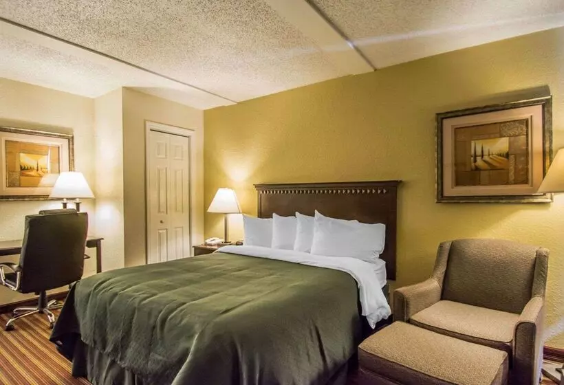 בית מלון כפרי Quality Inn & Suites At Tropicana Field