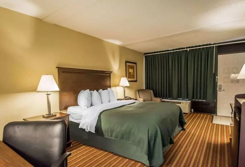 בית מלון כפרי Quality Inn & Suites At Tropicana Field