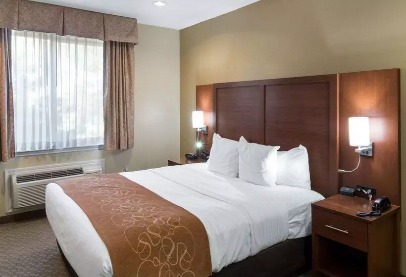 בית מלון כפרי Quality Suites Midland North Loop 250