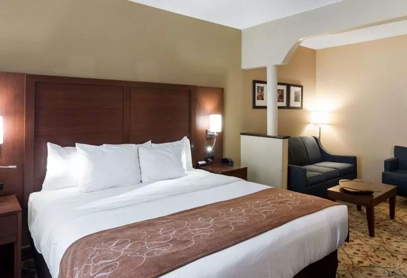 בית מלון כפרי Quality Suites Midland North Loop 250