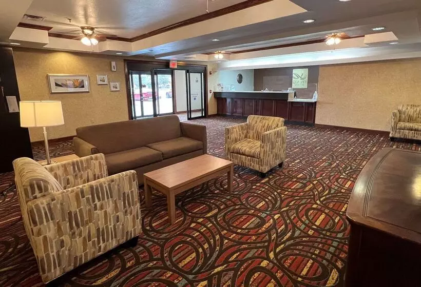 בית מלון כפרי Quality Suites Midland North Loop 250