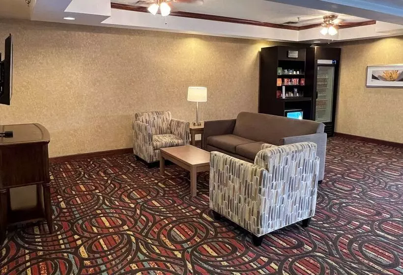 בית מלון כפרי Quality Suites Midland North Loop 250