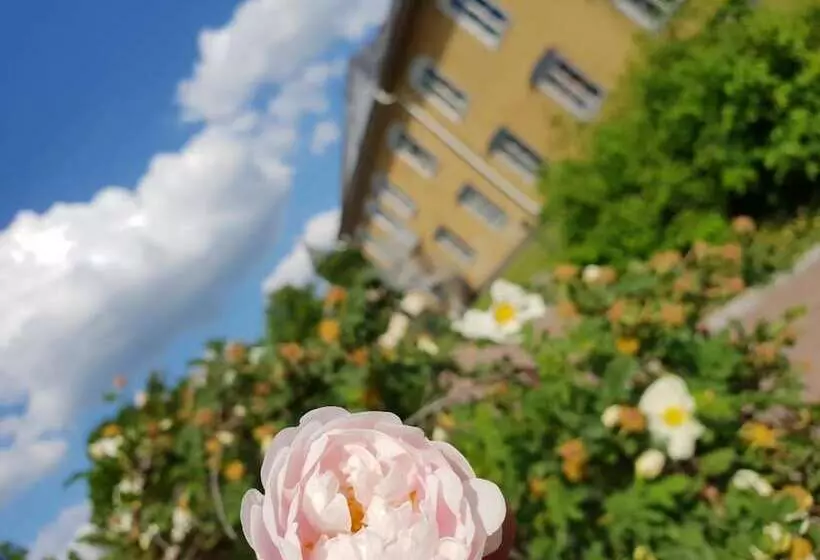 Hedemora Stadshotell