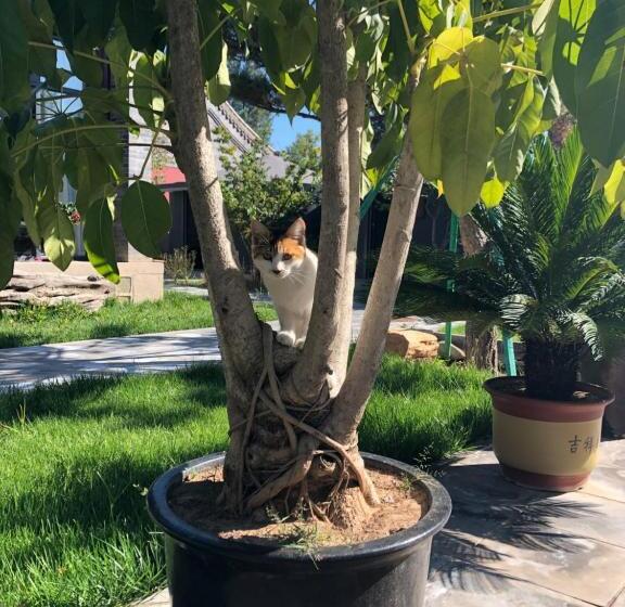 בית מלון כפרי Chengde Kai Ren Hua Fu Jiu Dian