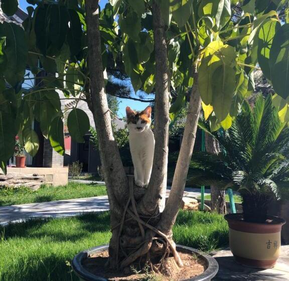 בית מלון כפרי Chengde Kai Ren Hua Fu Jiu Dian