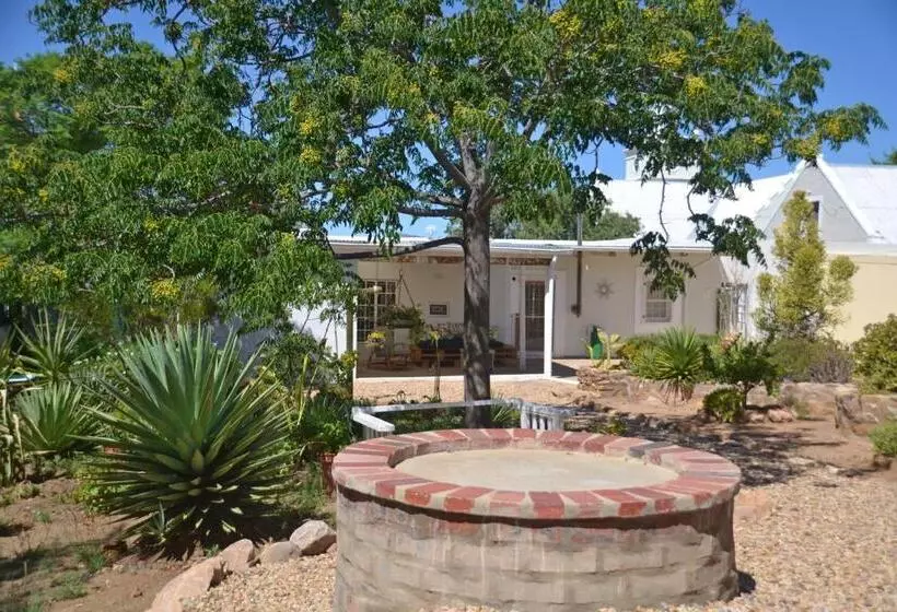 Majatalo The Lemon Tree