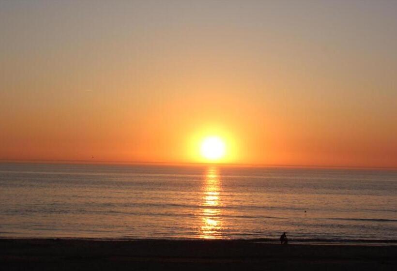 تختخواب و صبحانه Bluesheep Texel