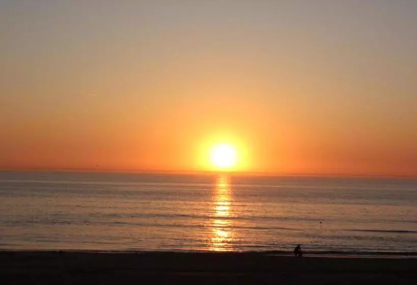 Aamiaismajoitus (B&B) Bluesheep Texel