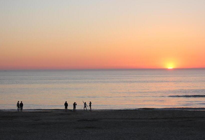 تختخواب و صبحانه Bluesheep Texel