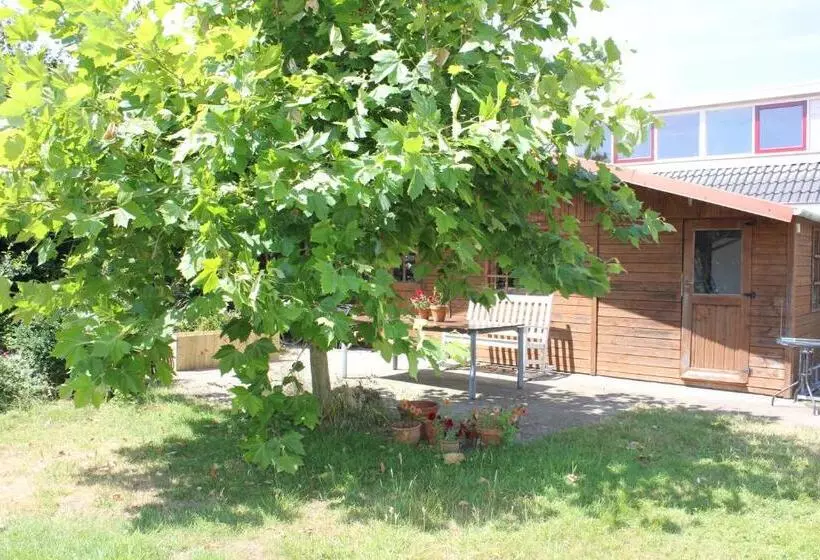 Aamiaismajoitus (B&B) Bluesheep Texel