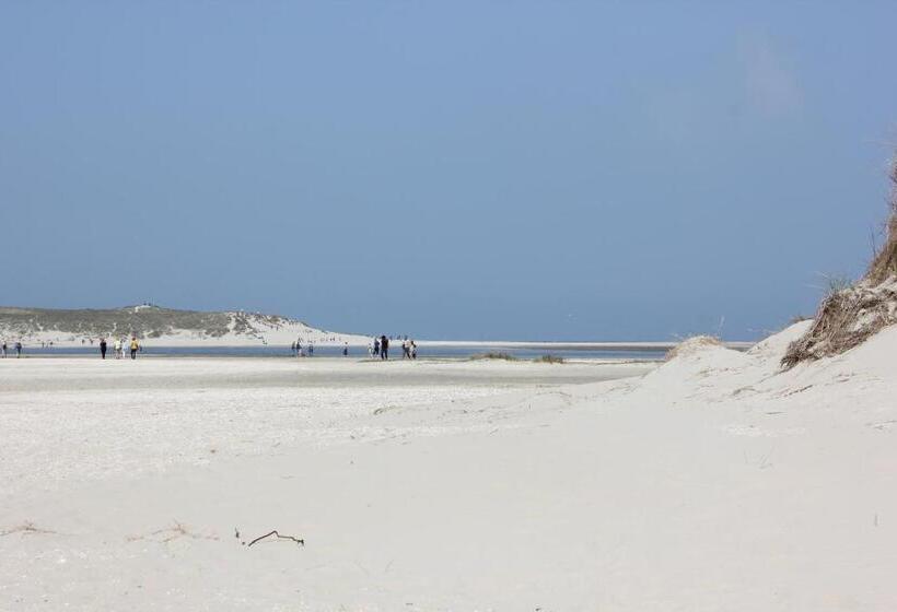 تختخواب و صبحانه Bluesheep Texel