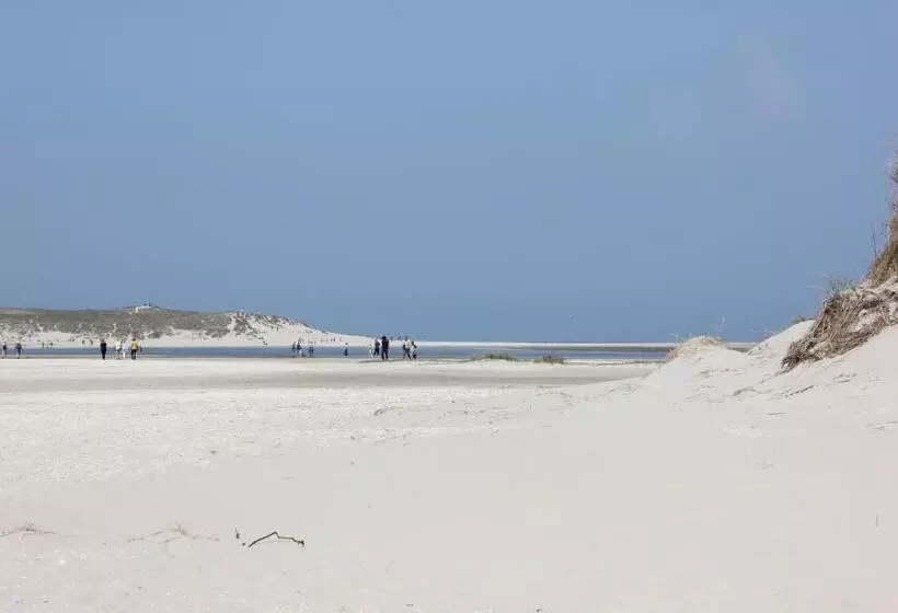 Aamiaismajoitus (B&B) Bluesheep Texel