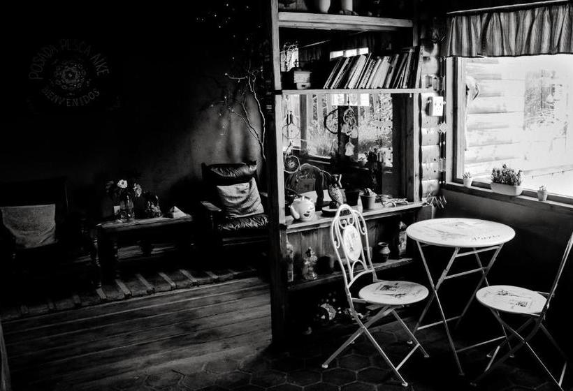 הוסטל Posada Pesca Aike Patagonico