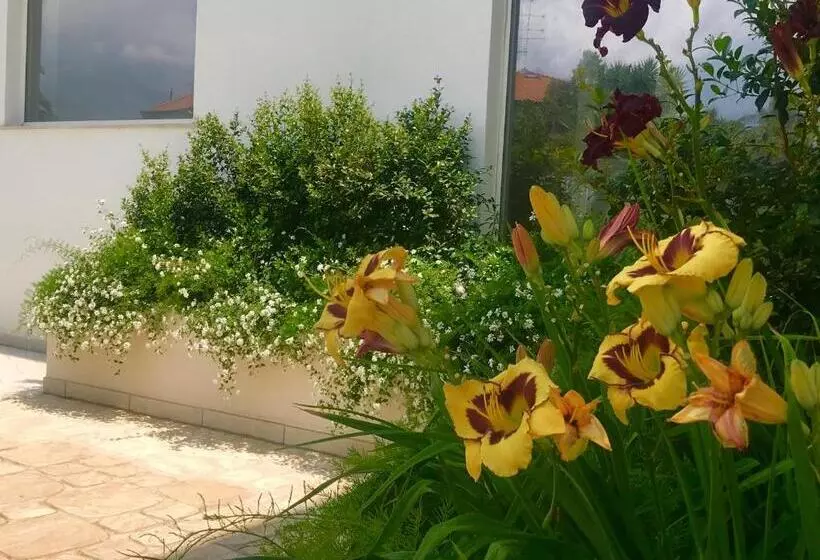 Path House   Etna & Sea View