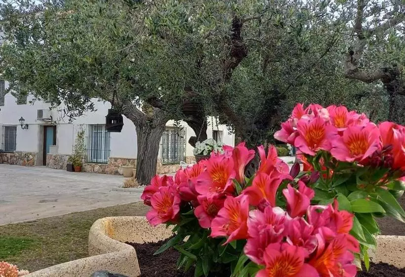 پانسیون Apartments In Villa Isabel