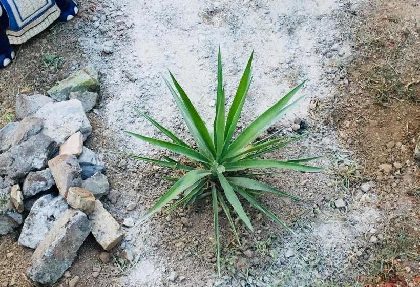 پانسیون Guesthouse Schenk