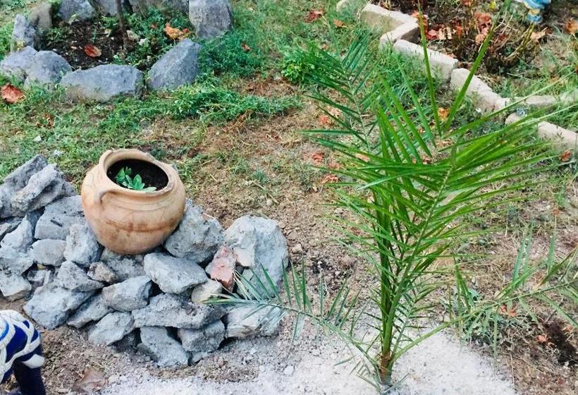 پانسیون Guesthouse Schenk