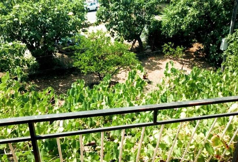 پانسیون Guesthouse Schenk