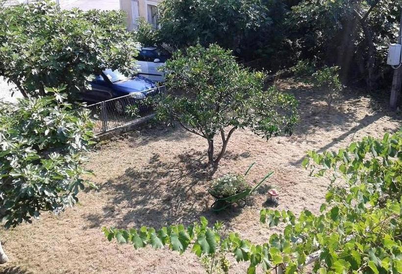 پانسیون Guesthouse Schenk