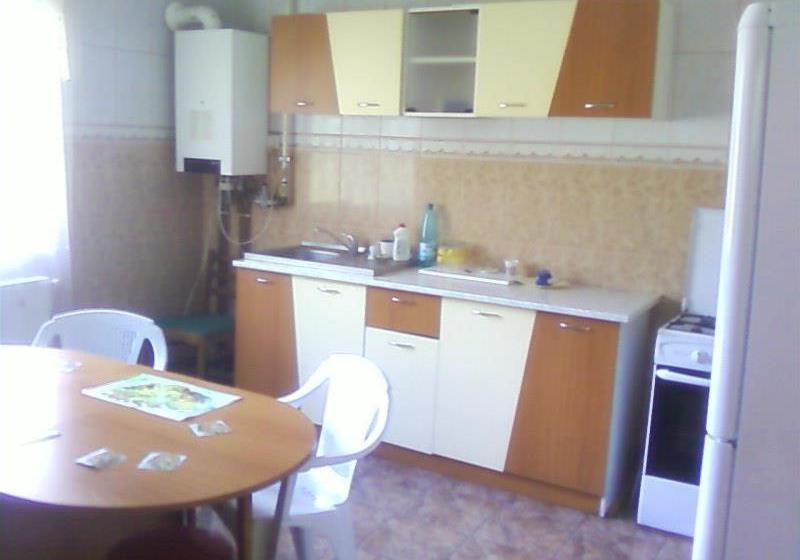 פנסיון Vila Elena Si Ionut