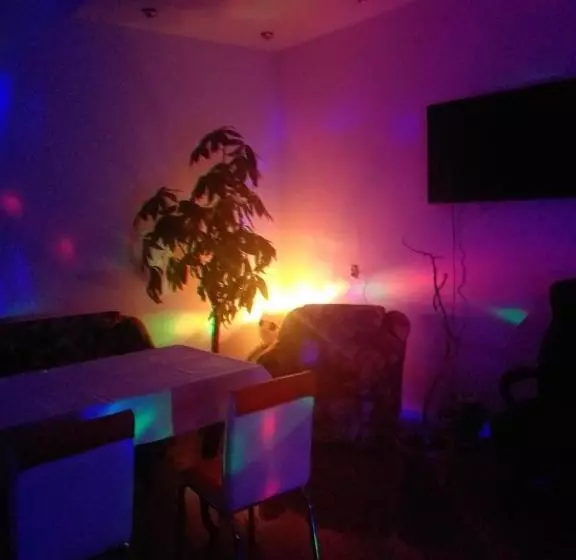 Pensiune Vila Elena Si Ionut