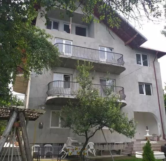 Pensiune Vila Elena Si Ionut