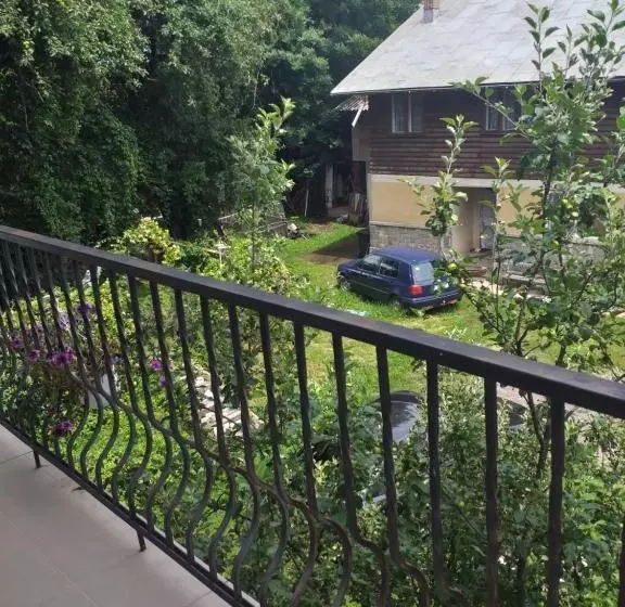 Pensiune Vila Elena Si Ionut