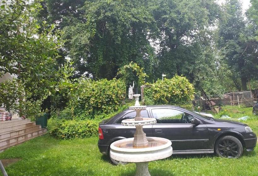 פנסיון Vila Elena Si Ionut