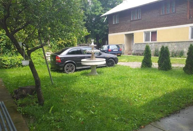 פנסיון Vila Elena Si Ionut