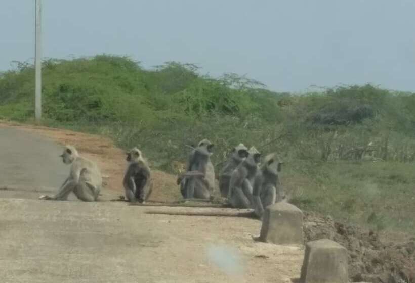 فندق Bundala Park View