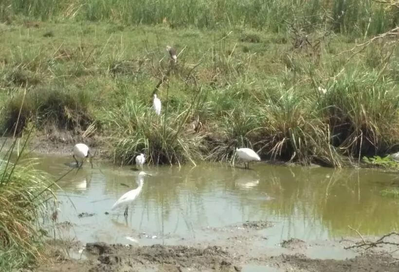 Hotelli Bundala Park View
