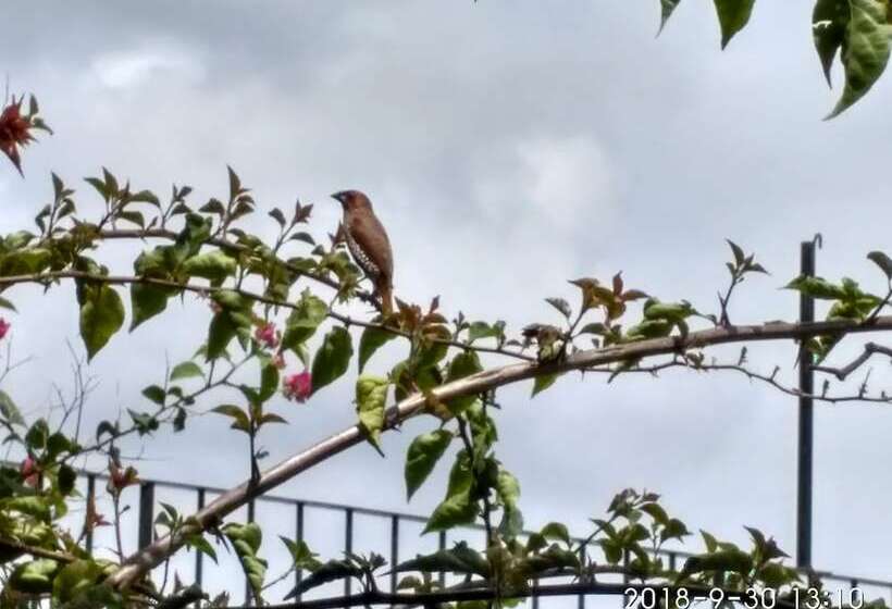 فندق Bundala Park View