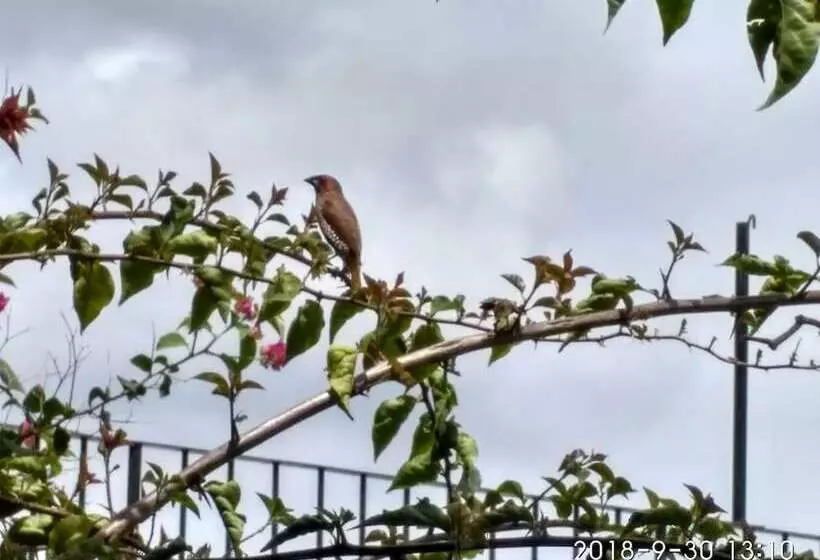 Hotelli Bundala Park View