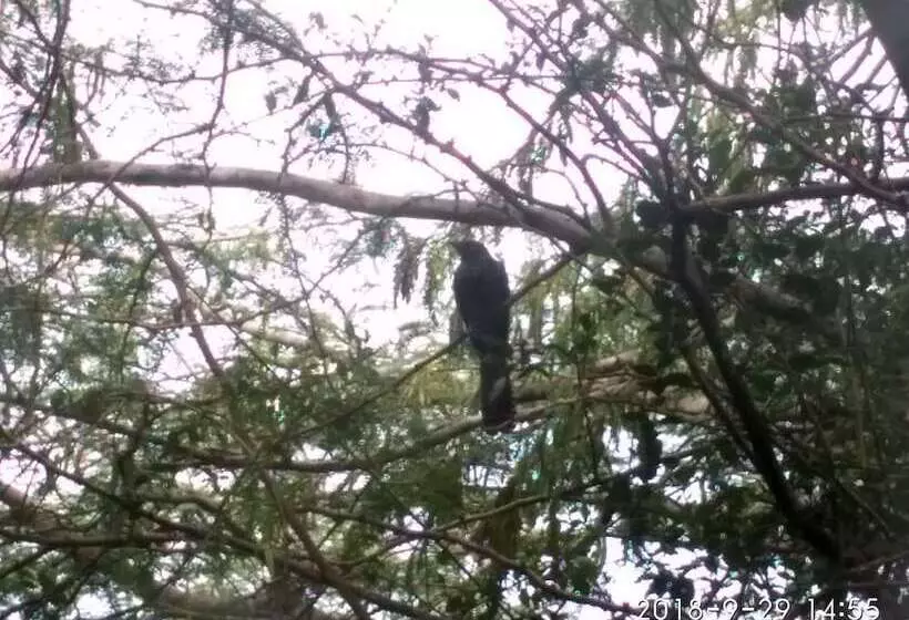 Hotelli Bundala Park View