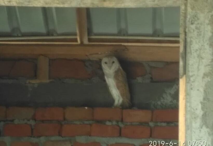 فندق Bundala Park View