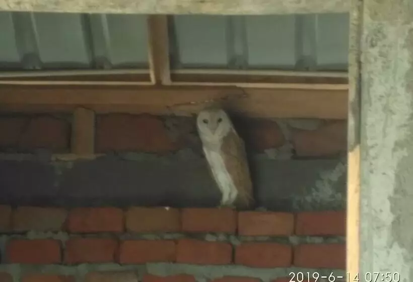 Hotelli Bundala Park View